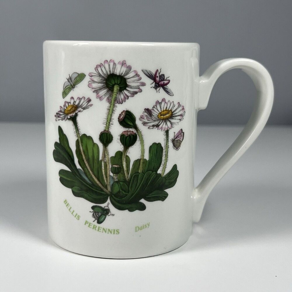 PORTMEIRION BOTANIC GARDEN Coffee MUG Tea Florals DAISY Made in ENGLAND